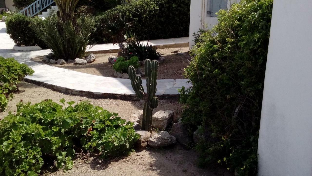 Mykonian Aroma House Lejlighed Ornos  Eksteriør billede